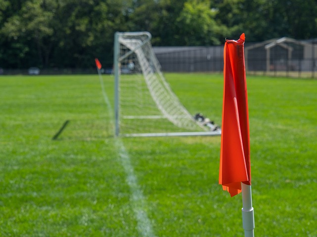 无疑是出于 无疑是出于