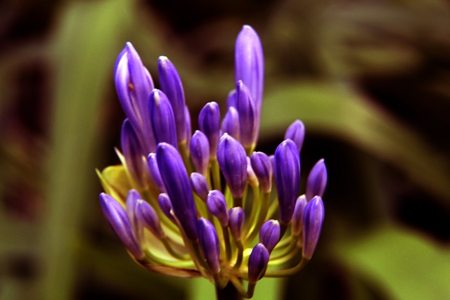 这场比赛只 这场比赛只