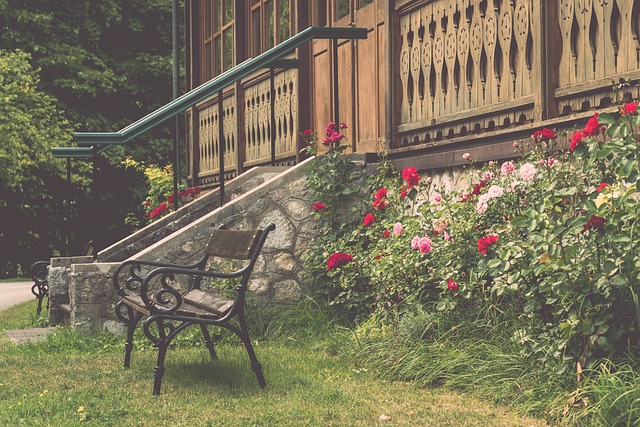 他们强悍的 他们强悍的