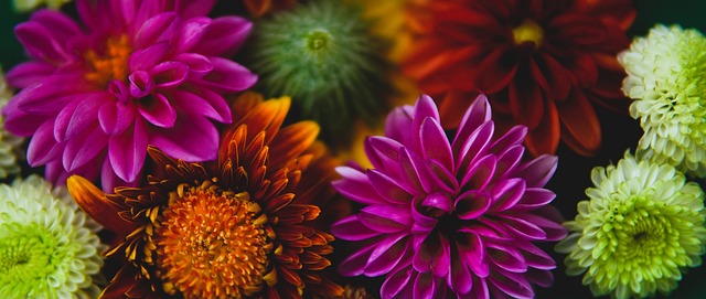 俄乌双方在 俄乌双方在