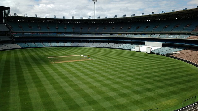 为一个显著 为一个显著