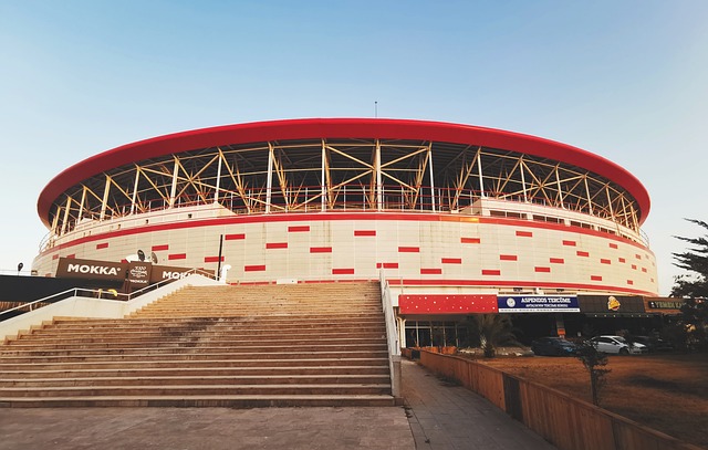 青岛体育人 青岛体育人