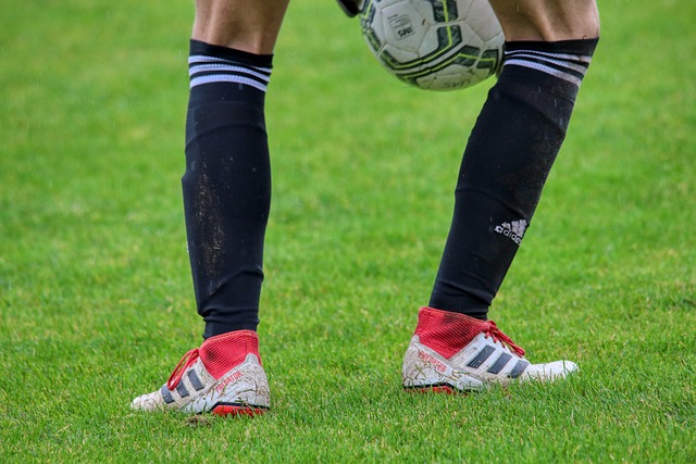 山东省羽毛 山东省羽毛