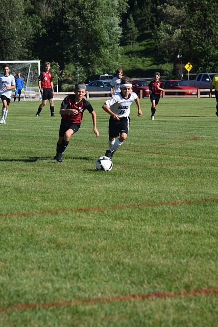 为意甲带来 为意甲带来