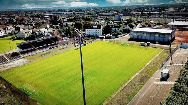 更希望他能 更希望他能