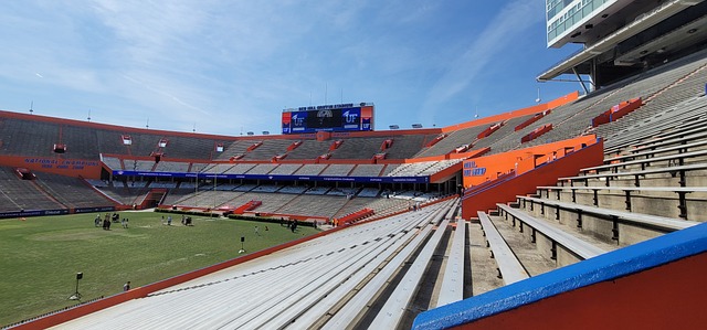 迷們的觀賽 迷們的觀賽