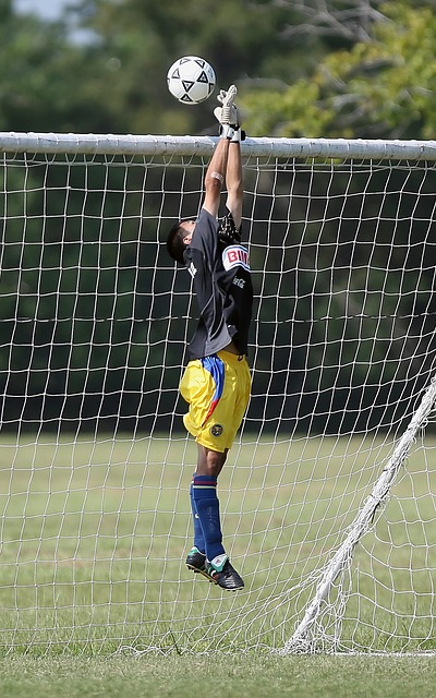 都没有将其 都没有将其