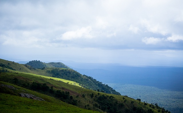 的得分后卫 的得分后卫