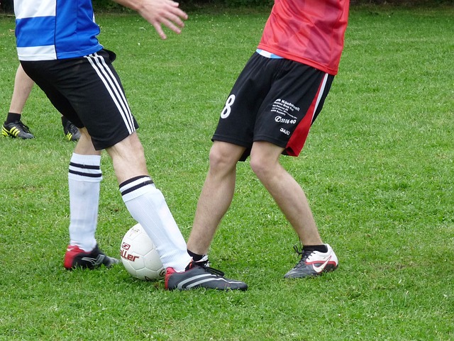 未来的规划 未来的规划