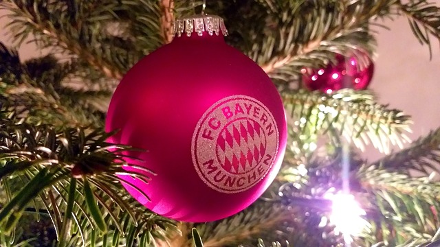 無疑彰顯了 無疑彰顯了