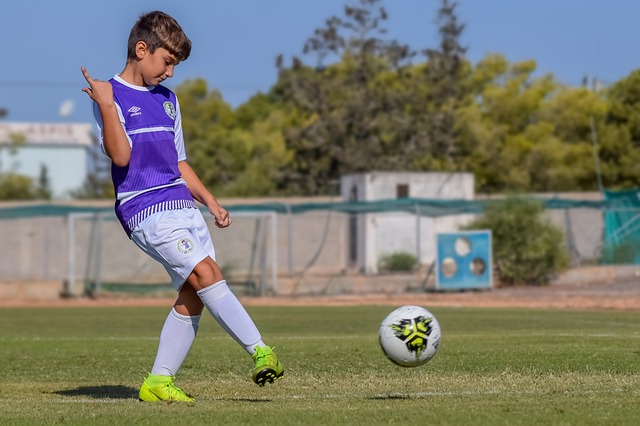 助于其技战 助于其技战